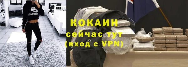 молекула духа Алексин