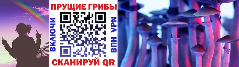 сколько стоит  Лесосибирск  Псилоцибиновые грибы мухоморы 