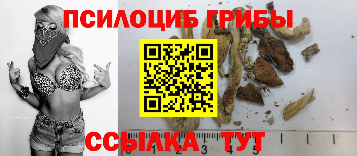 Лесосибирск  Галлюциногенные грибы Cubensis  Вход с VPN  Псилоцибиновые грибы Psilocybine cubensis 