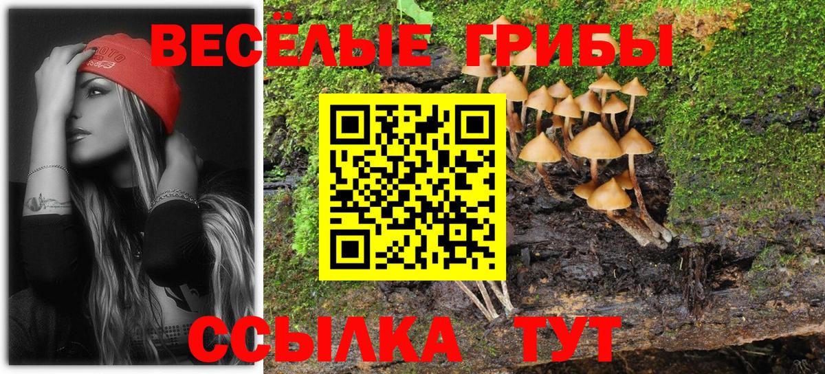 Гашик  Лесосибирск  LSD-25  Вход с VPN  Меф  Бошки Шишки  COCAIN  Хмурый 